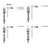 BREMI 205J200 Ignition Cable Kit